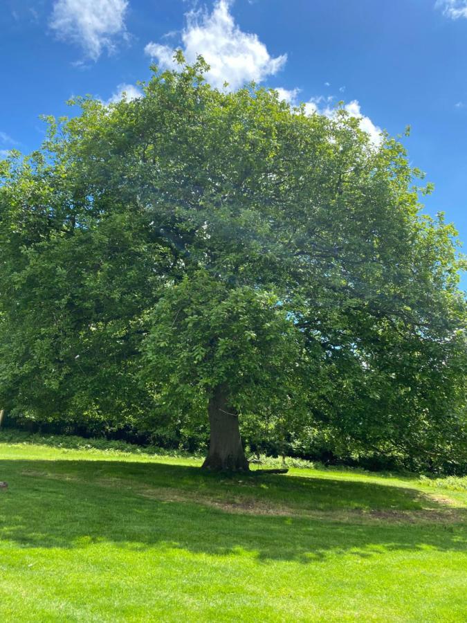 Black Mountains Glamping Hotell Abergavenny Eksteriør bilde
